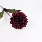 Big Head Dahlia Flower Stem 68cmH